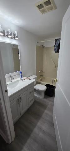 Modern 3 Bedroom 2 Bath Apartment for Rent in London, Ontario - Photo 6