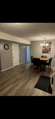 Fully furnished 2 bedroom half duplex for rent (utilities incl) - Photo 2