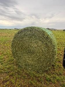 Rounds bales