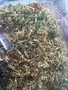 Rounds bales - Photo 6