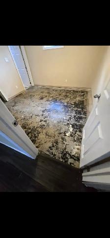 Brian’s Renovations | Free Quote | Windsor - Photo 8