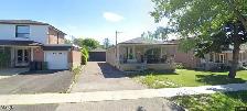 Basement Apartment for Rent near York University.