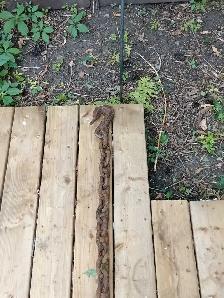 2 grosses chaînes 18 pieds et 20 piedss - Photo 3