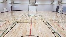 Adult Ball Hockey - Thursdays - Cedarbrae in SW - Photo 2
