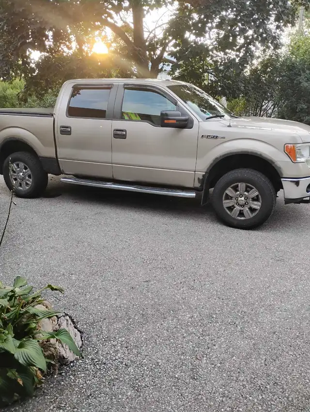 truck Ford F-150 XLT