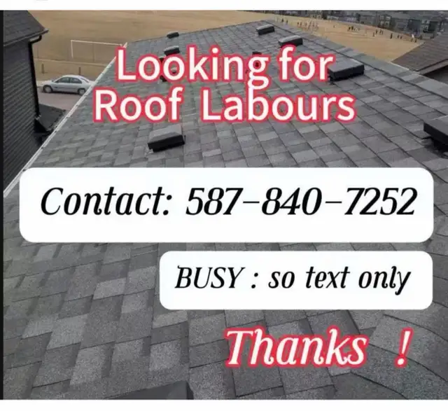 looking for roof labours