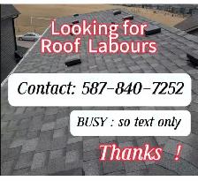 looking for roof labours