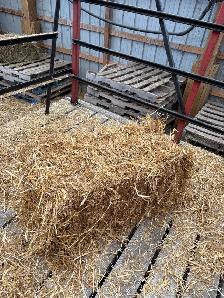 small straw square bales