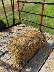 small straw square bales - Photo 4