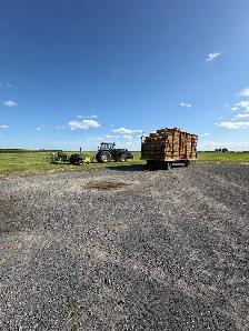 small straw square bales - Photo 5