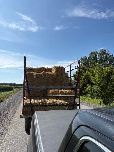 small straw square bales - Photo 6