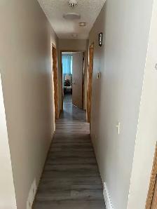 Spacious 3 bedroom house available for rent in Monterey park - Photo 5