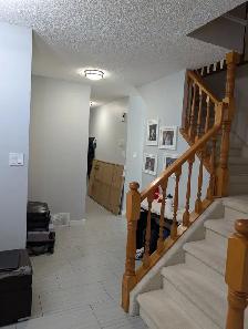 Painter Available For All Jobs - Photo 2