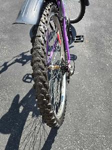 26 Inch Supercycle SC1800 - Photo 3