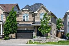 1 Bed 1 Bath Basement Available in Milton from Oct.1st 2026