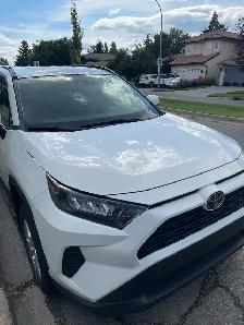 2019 Toyota RAV4 LE AWD - Photo 4