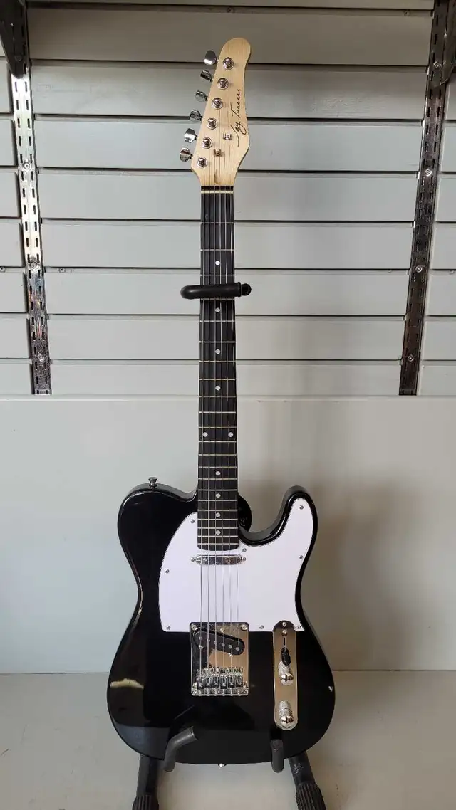 Jay Turser JT30BK Electric Guitar with Bag (32484324)