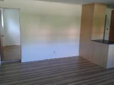 3 1/2 Dorval South Lower Duplex Apartment - Photo 5