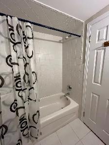 LOVELY ONE BEDROOM APARTMENT IN UPPER BLOORWEST VILLAGE - Photo 6