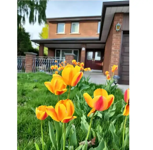 New 2 bedroom BSM Separate entrance $1680 @Dufferin & Steeles