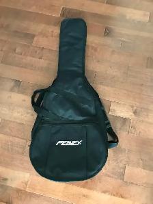 Guitar Case