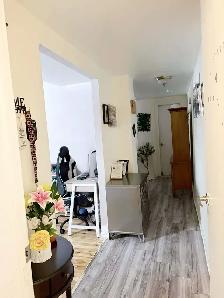 1140$ Appartement 3 demi à Saint Leonard - Photo 4