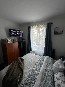 grande et belle chambre à louer - Photo 2