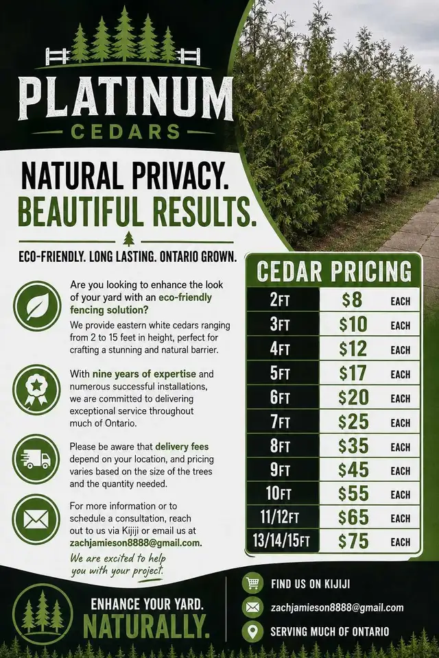 CHEAP EASTERN WHITE CEDARS FOR HEDGES