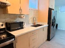$1275 Studio Apartment for Rent - Photo 2
