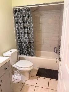 $1275 Studio Apartment for Rent - Photo 3