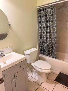 $1275 Studio Apartment for Rent - Photo 4