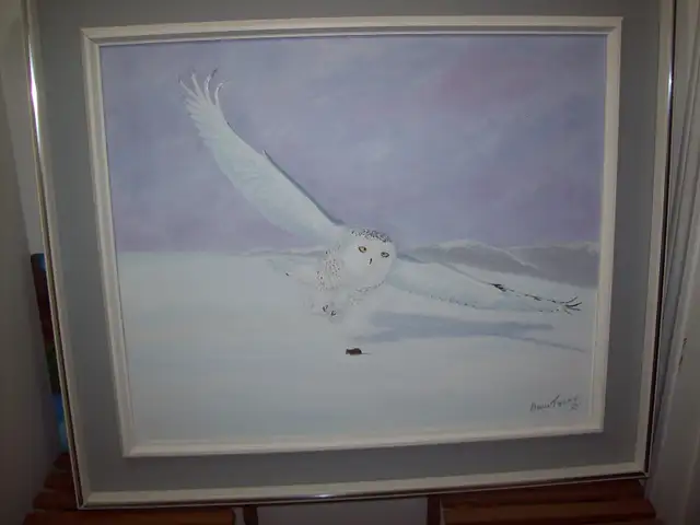 Toile Afghan des Neiges