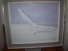 Toile Afghan des Neiges