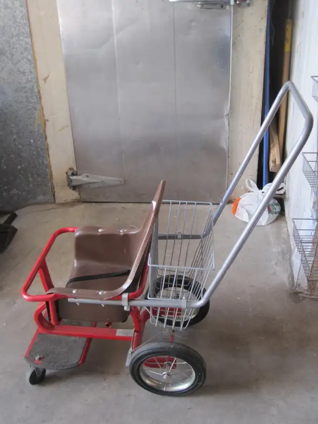CARROSSE ANCIEN TRES SOLIDE PEU UTILISE COMME NEUF 4 SAISONS