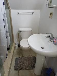 $1,450 utility For Rent: 1 bedroom, kitchen, washroom on 3rd Fl - Photo 6