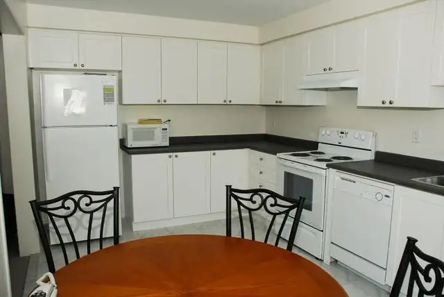 General Cleaner Needed