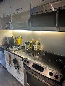 One Bedroom Condo Apartment in Corktown (Downtown Toronto) - Photo 5