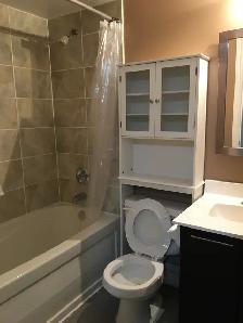 Large Furnished Master Bedroom with Private Ensuite Washroom - Photo 9