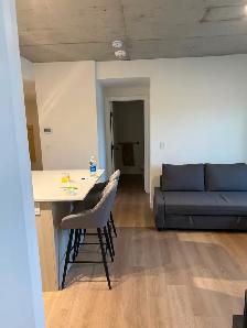 Lease Takeover - Sunnyside - 2 bedroom 2 bathroom - Photo 4