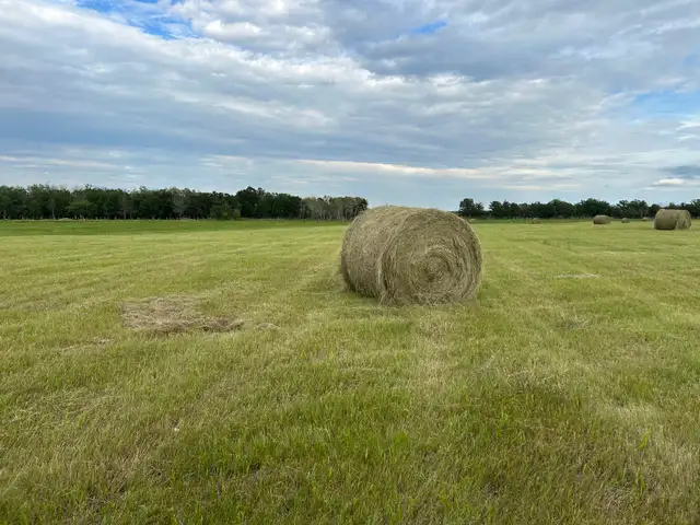 hay bales
