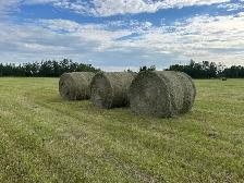 hay bales - Photo 3