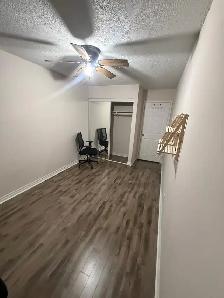 Room Rent - Photo 4