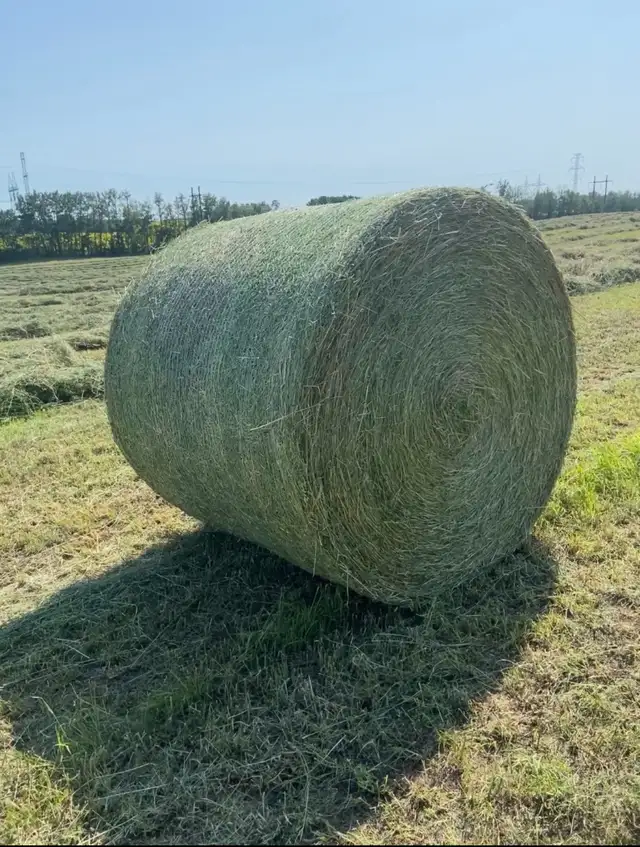 2026 First Cut Round Bales for Sale
