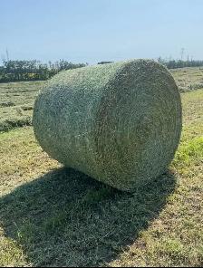 2026 First Cut Round Bales for Sale