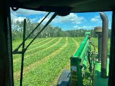 2026 First Cut Round Bales for Sale - Photo 2