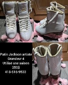 Patin Jackson Artiste - Photo 2