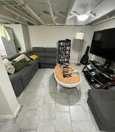 Downtown Basement Suite Available