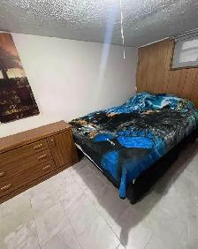 Downtown Basement Suite Available - Photo 3
