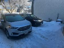 car rental