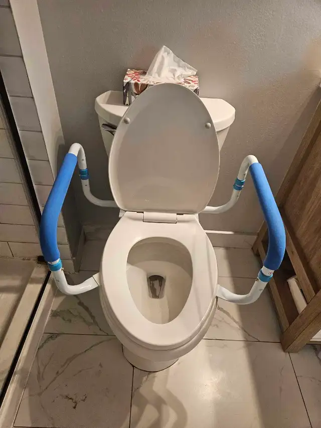 Toilet Safet Rail